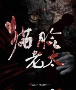 貓臉老太劇本殺復(fù)盤