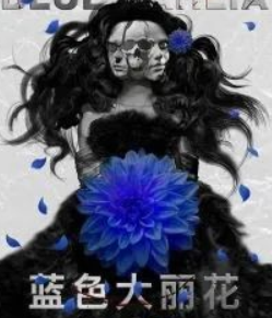 藍色大麗花劇本殺