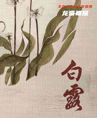 紅豆劇本殺故事背景