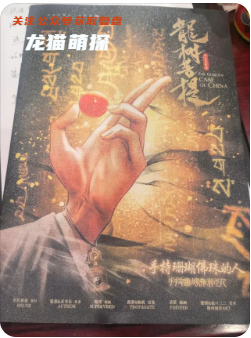 華夏奇案錄·龍樹菩提劇本殺