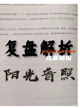 《陽光普照》劇本殺復盤